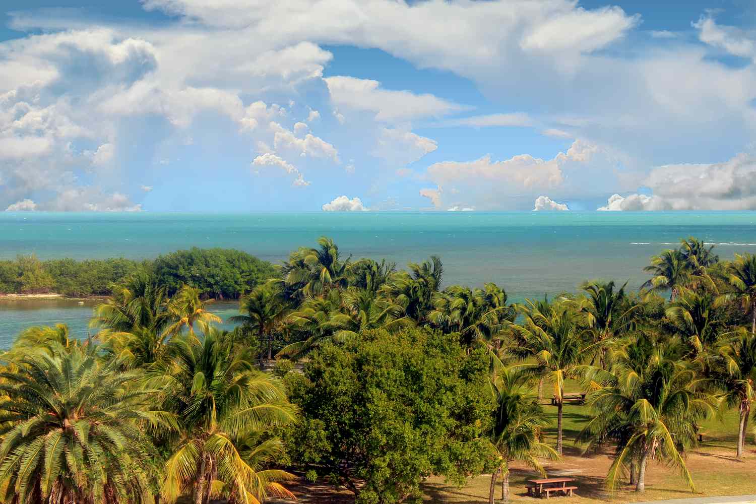 View of a tropical beach with lush green palm trees in the foreground and turquoise ocean water under a blue sky with white clouds.