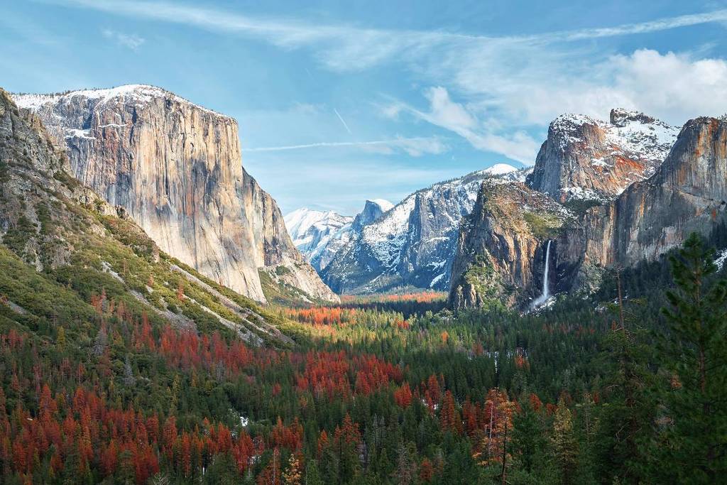 Yosemite Valley Flower filled valley surrounded with snowy mountain range.
