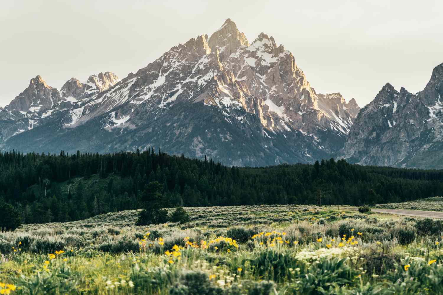 Snowy Teton Mountains surrounded with greenery & flowers