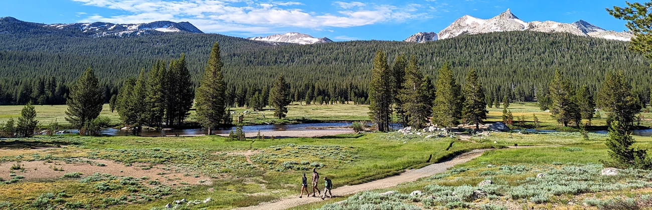 Tuolumne Meadows A panoramic view of a large, open subalpine meadow with a winding river, surrounded by pine forests, granite domes, and snow-capped mountains in the background.