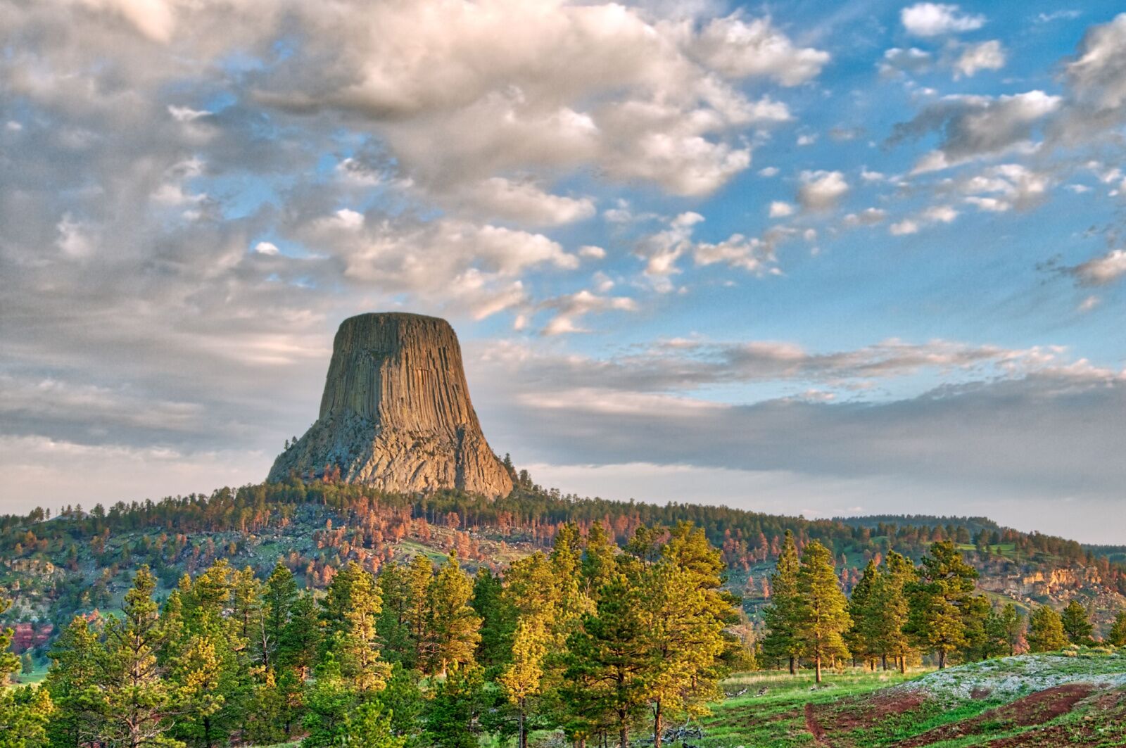Devils Tower National Monument in Wyoming under an early morning cloudy sky with a forest in the foreground.